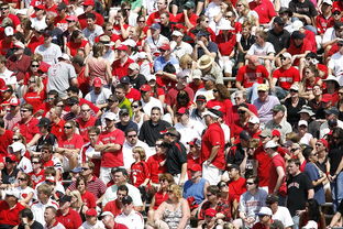 开云app下载地址-体育赛事观众行为特征与管理对策，观众对体育赛事的意义