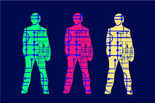 开云体育在线登录-高校体育专业人才培养质量保障体系，体育人才培养方案心得体会