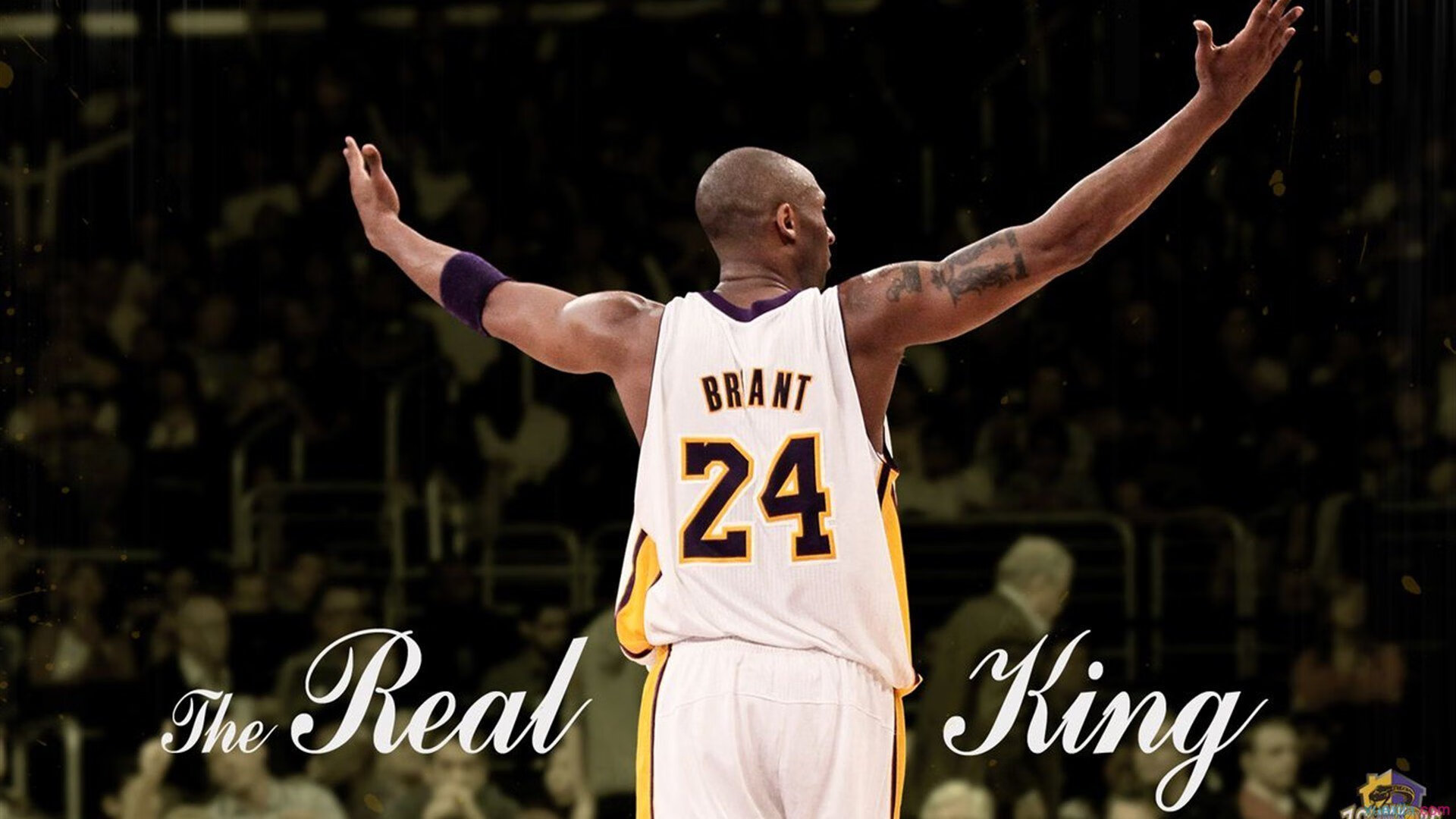 体育新闻中心开展体育赛事内容版权纠纷调解培训，体育赛事知识产权保护